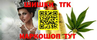 spice Гай