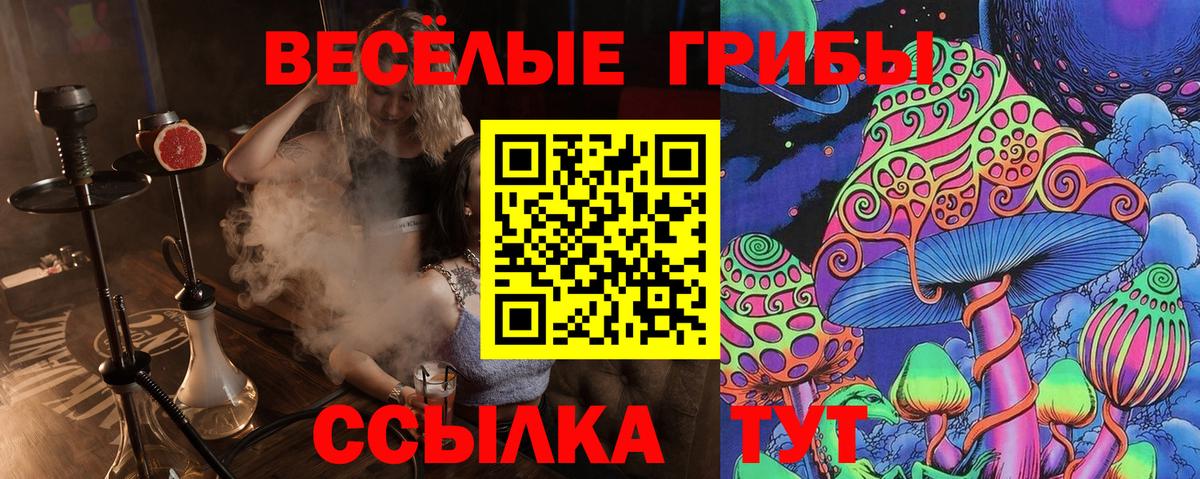 Истра  Псилоцибиновые грибы прущие грибы  Галлюциногенные грибы прущие грибы  Вход с VPN 